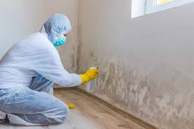 Best Comprehensive Air Testing for Mold Contaminants  in Pomona, KS