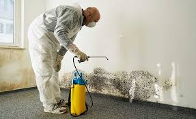 Pomona, KS Mold Removal & Remediation Company