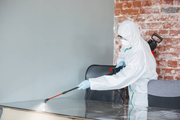 Best Industrial Mold Remediation  in Pomona, KS